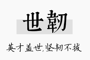 世韧名字的寓意及含义