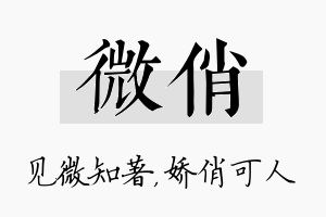 微俏名字的寓意及含义