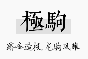 极驹名字的寓意及含义