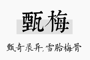 甄梅名字的寓意及含义