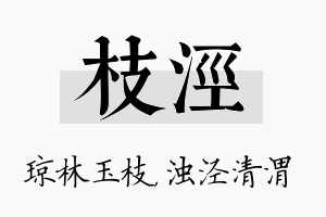 枝泾名字的寓意及含义