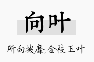 向叶名字的寓意及含义