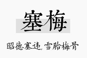 塞梅名字的寓意及含义