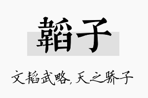 韬子名字的寓意及含义