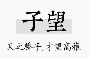 子望名字的寓意及含义