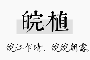 皖植名字的寓意及含义