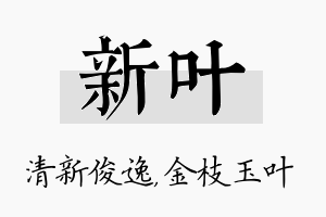 新叶名字的寓意及含义