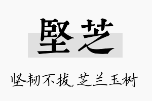 坚芝名字的寓意及含义