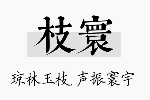 枝寰名字的寓意及含义