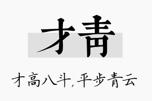 才青名字的寓意及含义