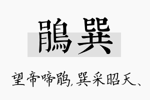 鹃巽名字的寓意及含义