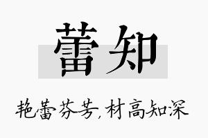 蕾知名字的寓意及含义