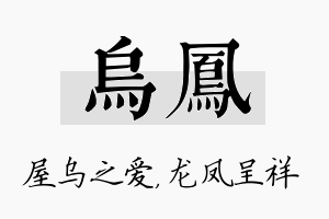 乌凤名字的寓意及含义