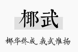 椰武名字的寓意及含义