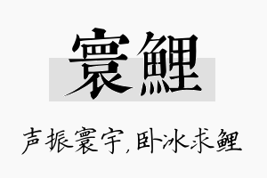 寰鲤名字的寓意及含义