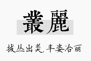 丛丽名字的寓意及含义