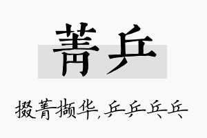 菁乒名字的寓意及含义