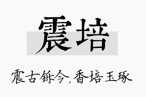 震培名字的寓意及含义