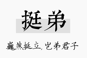 挺弟名字的寓意及含义