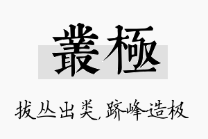 丛极名字的寓意及含义