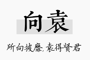 向袁名字的寓意及含义