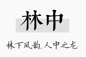 林中名字的寓意及含义