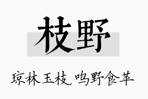 枝野名字的寓意及含义