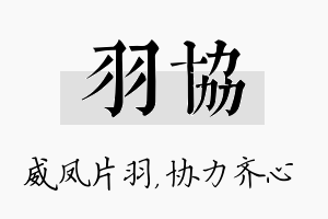 羽协名字的寓意及含义