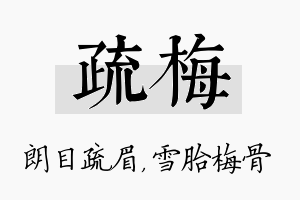 疏梅名字的寓意及含义