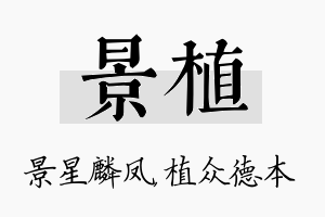 景植名字的寓意及含义