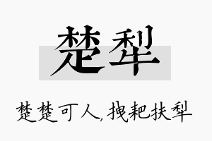 楚犁名字的寓意及含义