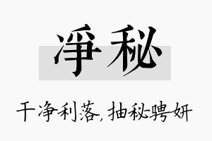 净秘名字的寓意及含义