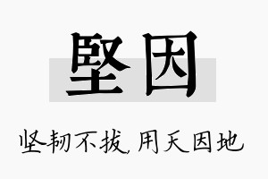 坚因名字的寓意及含义