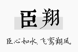 臣翔名字的寓意及含义