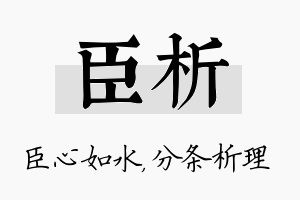 臣析名字的寓意及含义