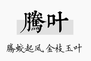 腾叶名字的寓意及含义