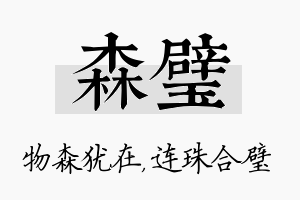 森璧名字的寓意及含义