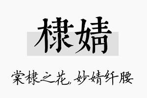 棣婧名字的寓意及含义