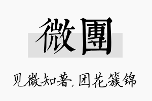 微团名字的寓意及含义