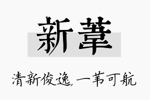 新苇名字的寓意及含义