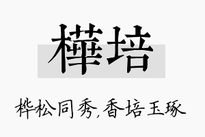 桦培名字的寓意及含义