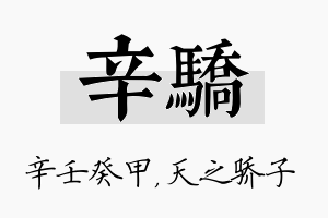 辛骄名字的寓意及含义