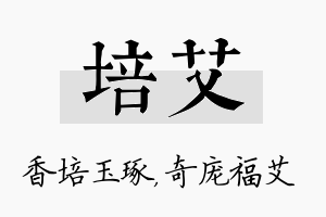 培艾名字的寓意及含义