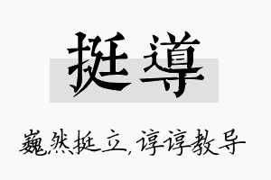 挺导名字的寓意及含义