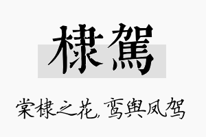 棣驾名字的寓意及含义