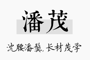 潘茂名字的寓意及含义