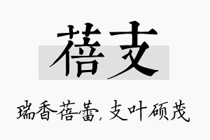 蓓支名字的寓意及含义