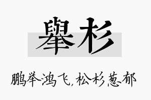 举杉名字的寓意及含义