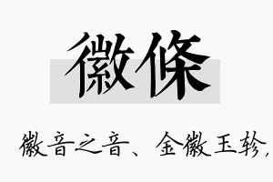 徽条名字的寓意及含义