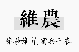 维农名字的寓意及含义